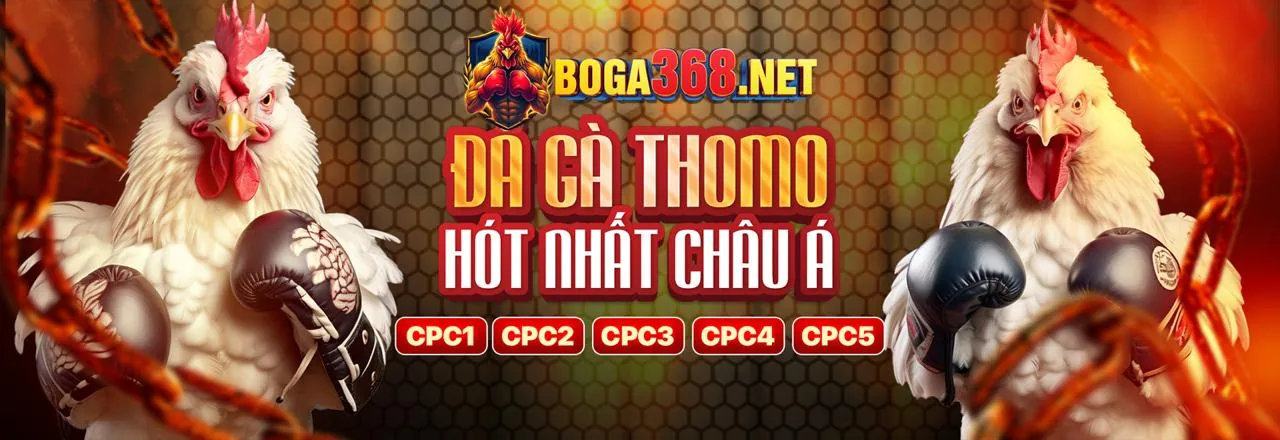 Cá cược thể thao 999bet với đa dạng môn thể thao